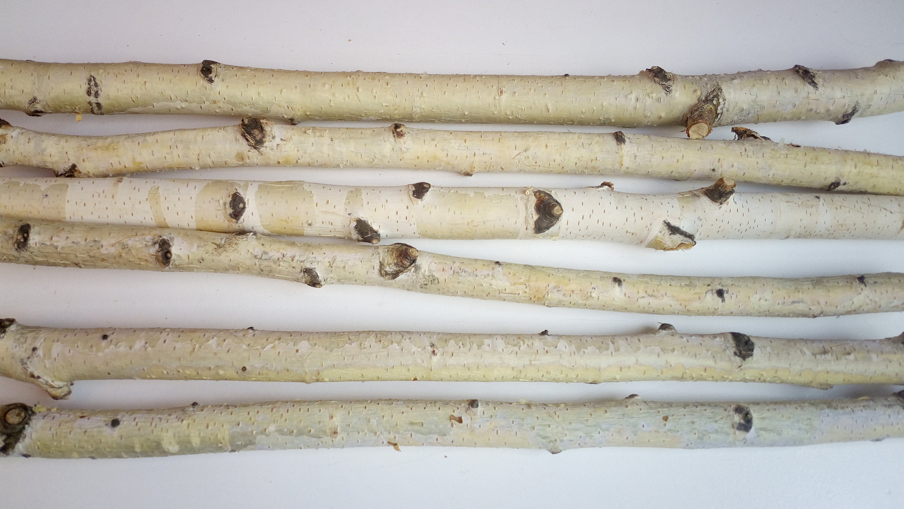 Natural birch sticks dry birch branches Rustic decor 6pcs Etsy