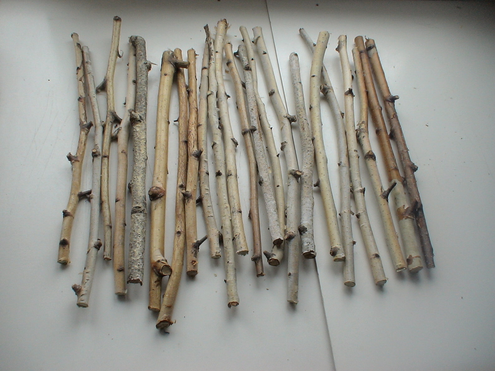 Natural birch sticks birch log decor 22 pieces Etsy