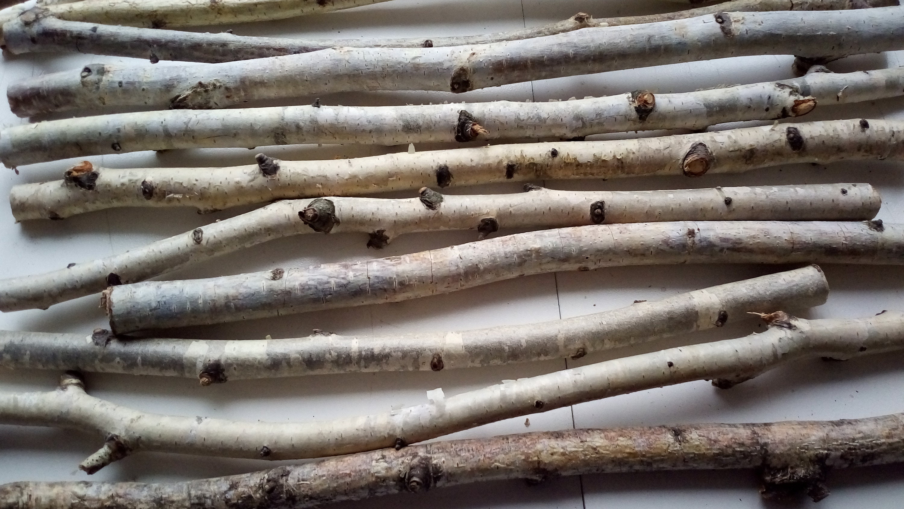 16 pcs 18 inches natural dry birch branches birch sticks Etsy