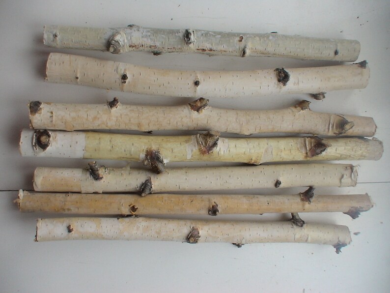 Natural dried birch branches Birch logs Rustic decor 7pcs. Etsy