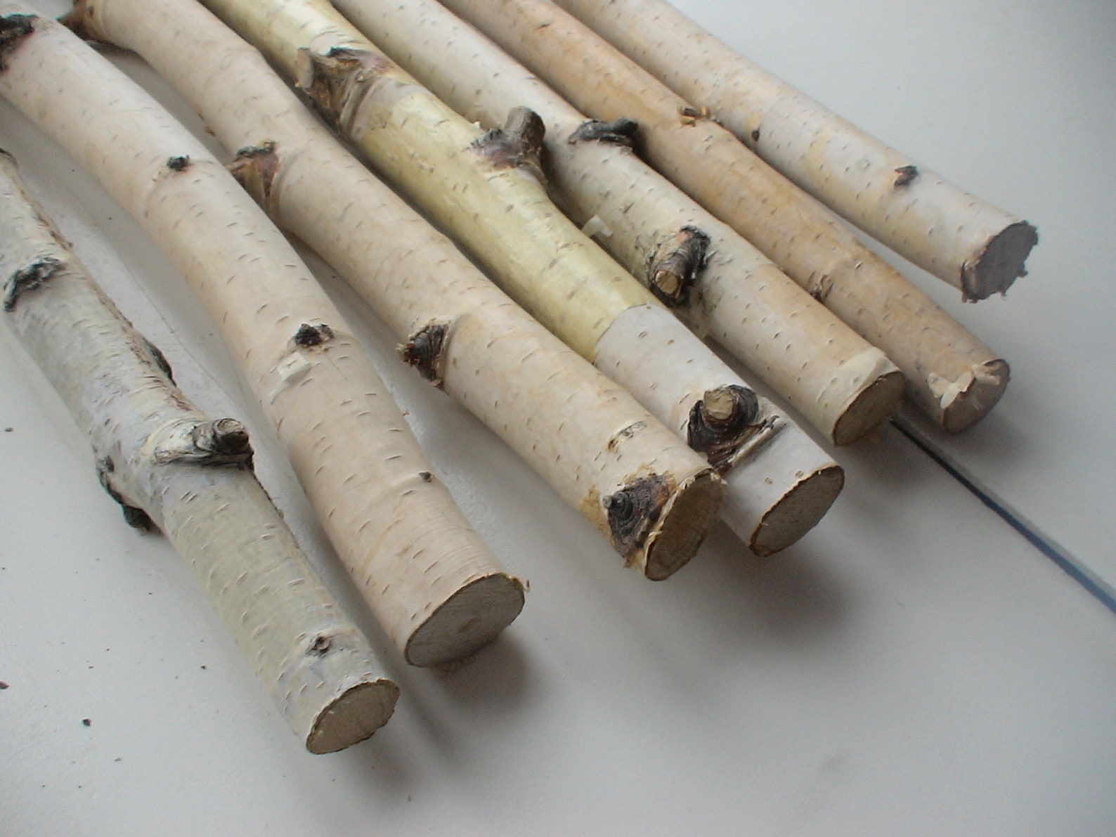 Natural dried birch branches Birch logs Rustic decor 7pcs. Etsy