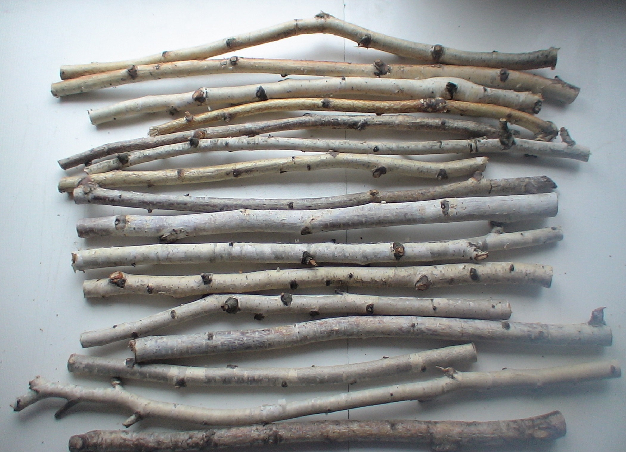 16 pcs 18 inches natural dry birch branches birch sticks Etsy