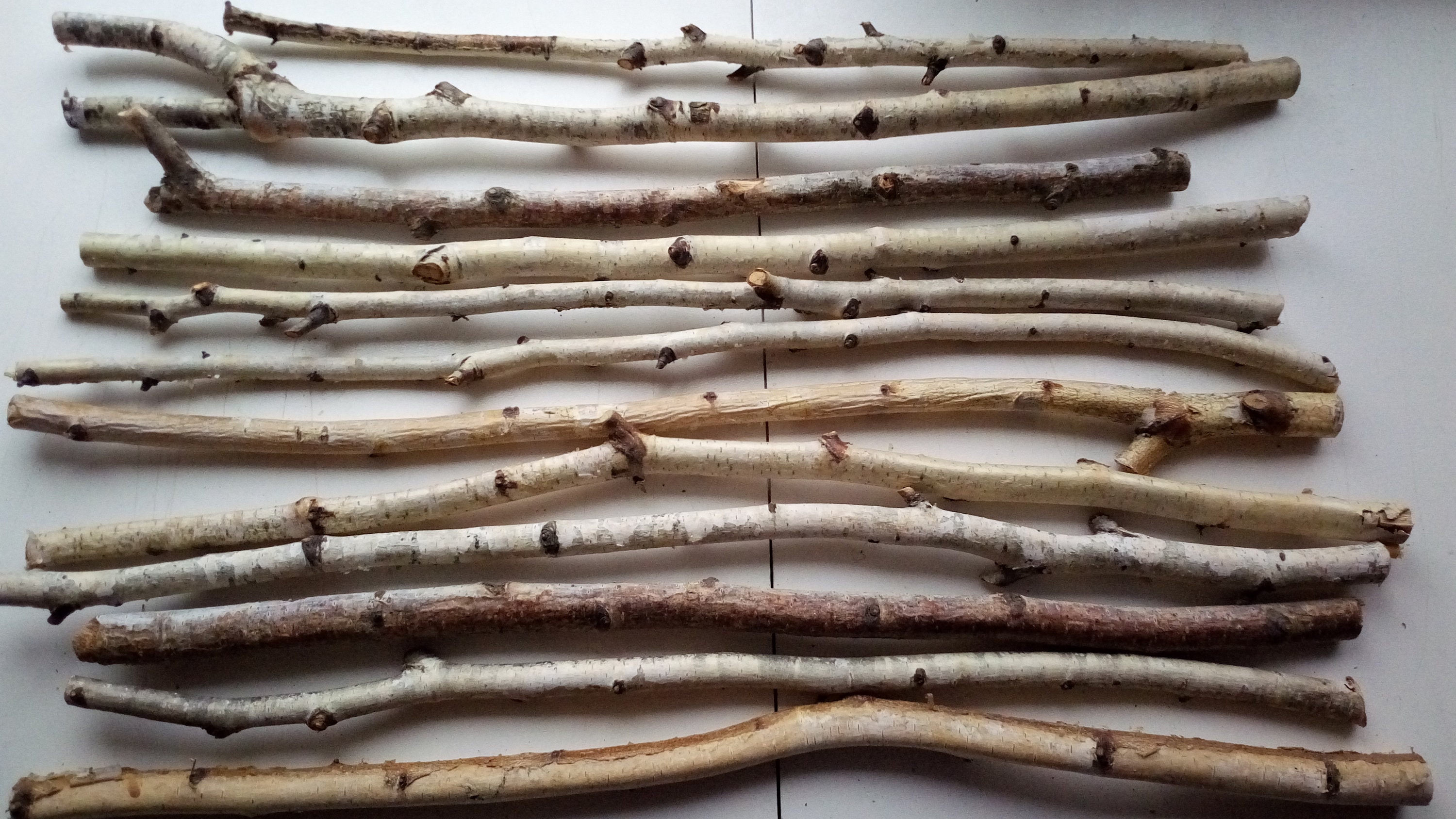 12 pcs 22 inches natural dry birch branches birch sticks Etsy