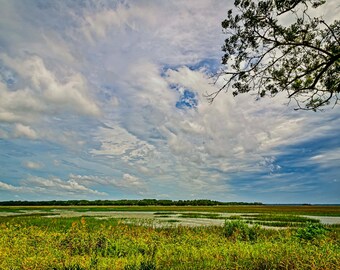 Skies Over the Marsh at Botany Bay | Photograph | Edisto Island, South Carolina | river, marsh, sunrise, sunset, plantation, reflection