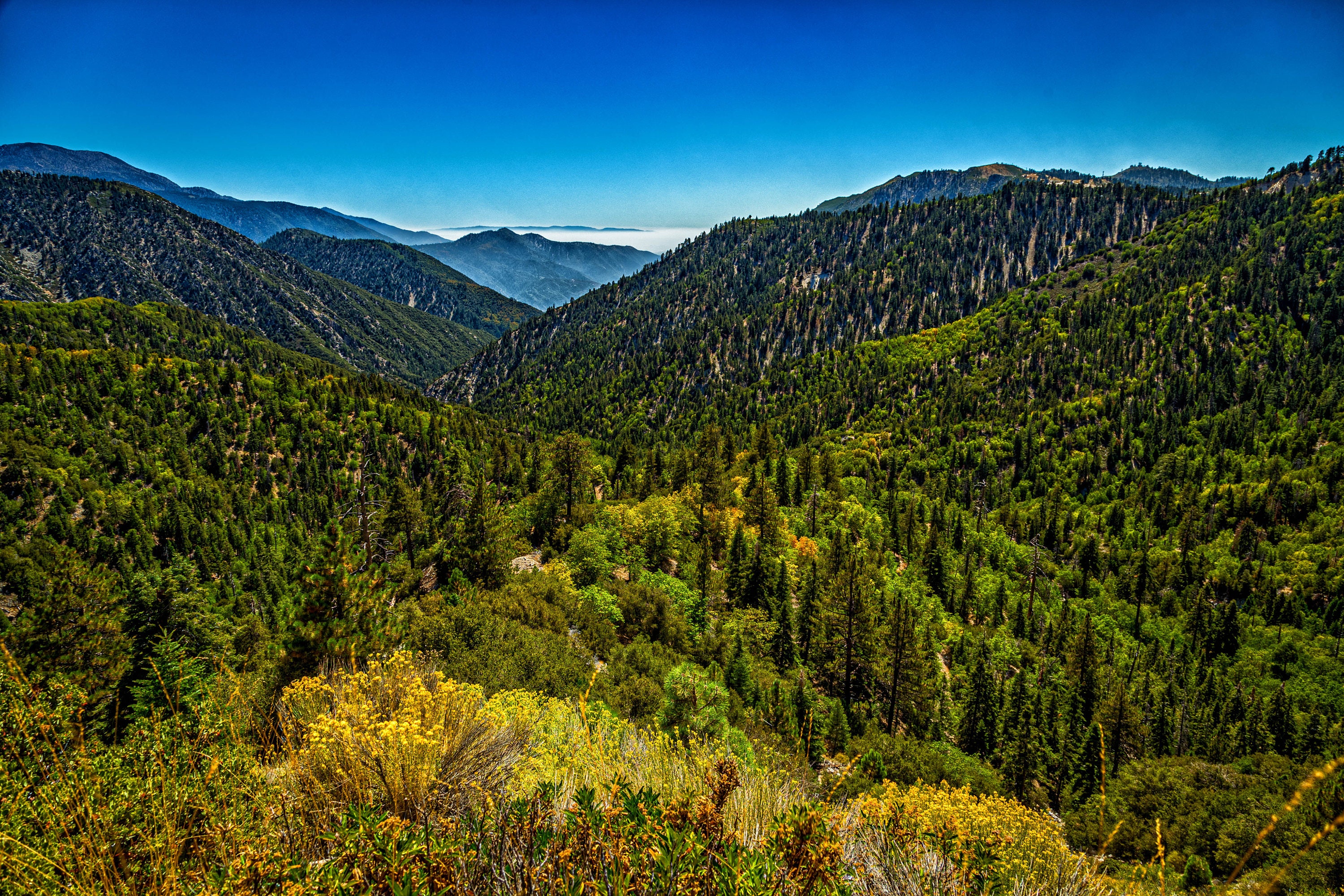 Big Bear Creek Valley in San Bernardino National Forest - Etsy