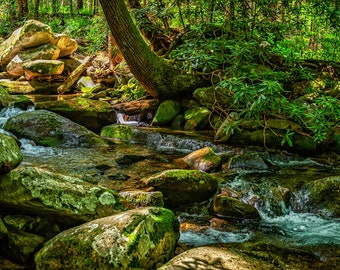 Peut inclure: Une scène de forêt luxuriante et verte avec un petit ruisseau qui coule sur des rochers recouverts de mousse. L'eau est claire et pétillante, et la lumière du soleil filtre à travers les arbres, créant un effet moucheté.