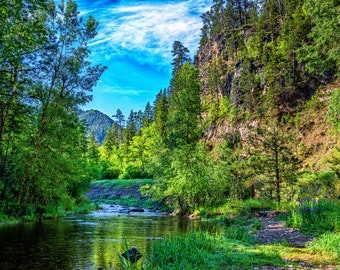 Spearfish Creek in the Black Hills | Photograph | South Dakota, United States | travel, summer, mountains, skyline