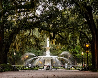 May include: A scenic park view featuring a white fountain with water spraying outwards. The fountain is surrounded by lush greenery, trees, and benches. Overhead, large trees with hanging moss create a canopy. Lit street lamps line the pathway.