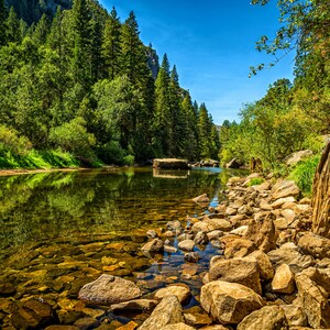 May include: A clear, shallow river flows through a lush green forest. The riverbed is visible with smooth, brown rocks. The forest is dense with tall trees on both sides of the river.