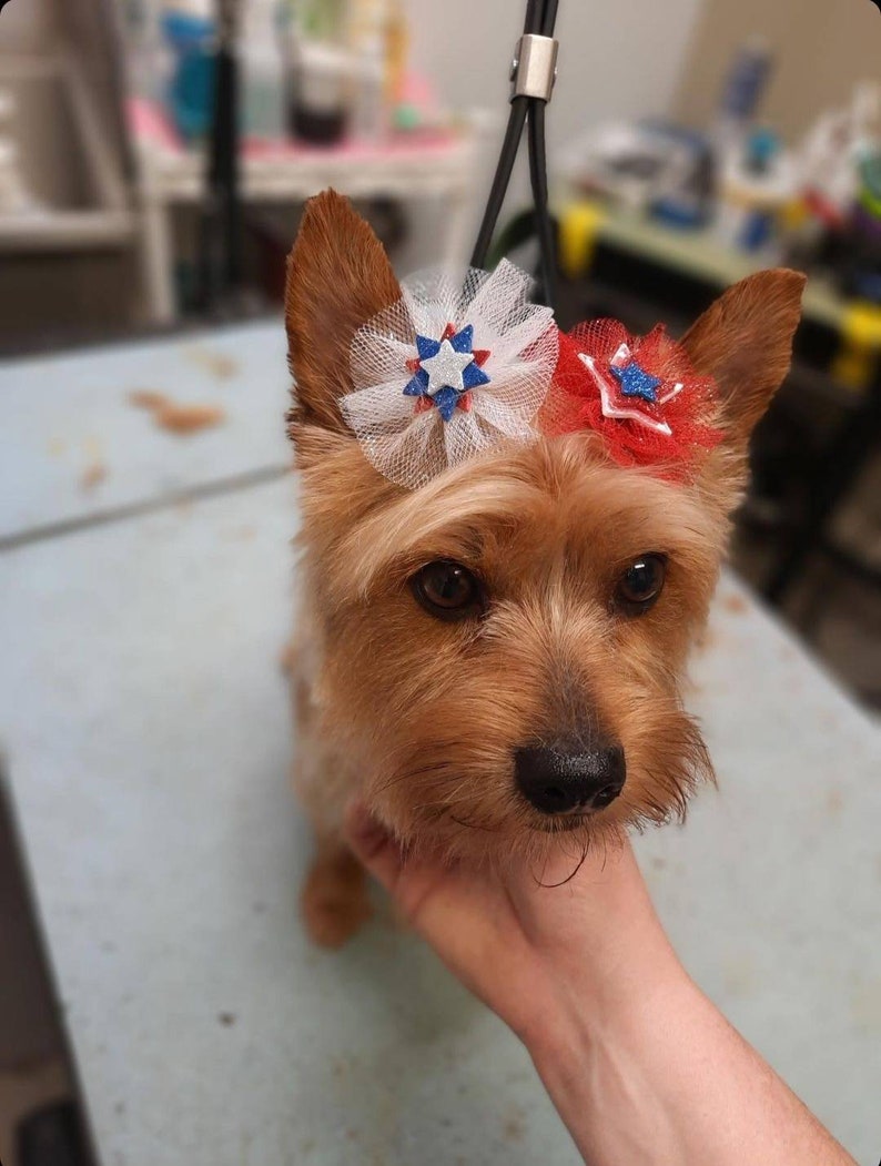 American Patriotic Independence Day Dog Bows, Forth of July Bow, Memorial Day Grooming Top-Knot Bows image 5