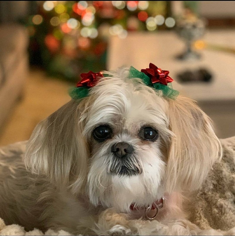 Christmas Dog Bows Winter Snowflake Grooming Bows Winter & Etsy