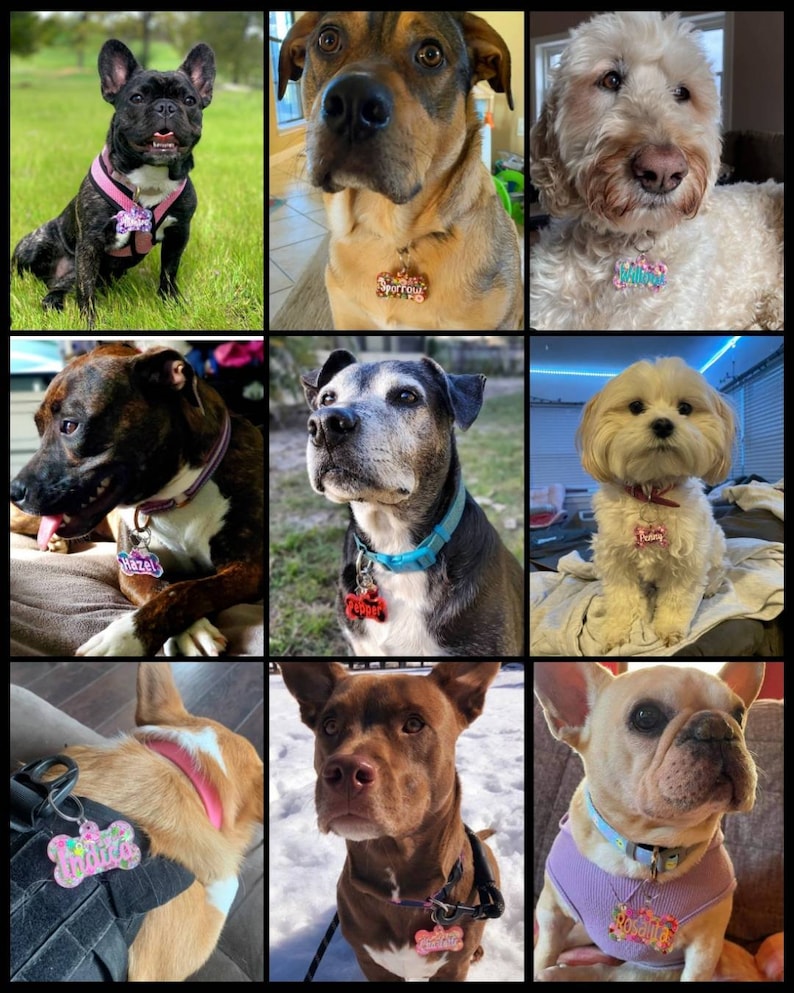 May include: A collage of nine dogs, each wearing a colorful pet tag. The tags display names like "Hazel", "Pepper", and "Judith". The dogs vary in breed and color, with some wearing harnesses and collars.
