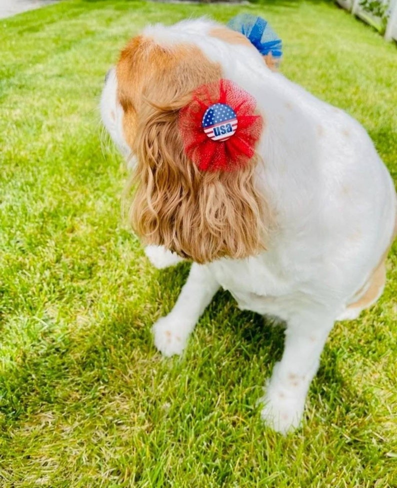 American Patriotic Independence Day Dog Bows, Forth of July Bow, Memorial Day Grooming Top-Knot Bows image 4