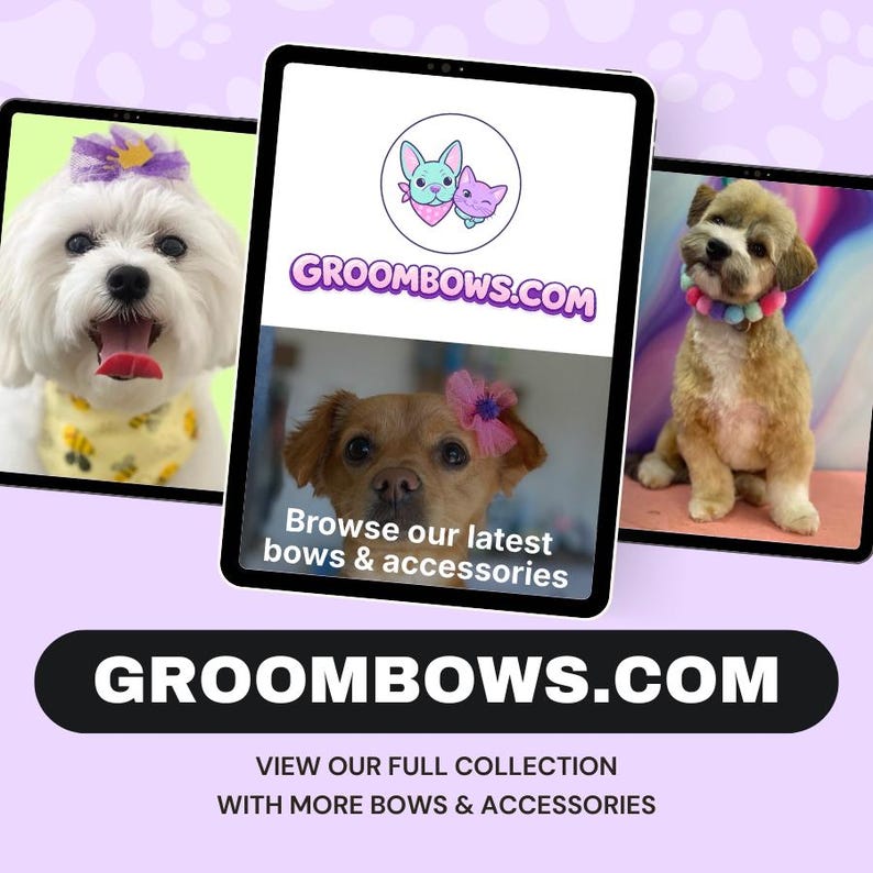 May include: An advertisement for GROOMBOWS.COM, featuring three tablets displaying images of dogs wearing bows and accessories. The website's logo and a call to action, "Browse our latest bows & accessories," are also visible.