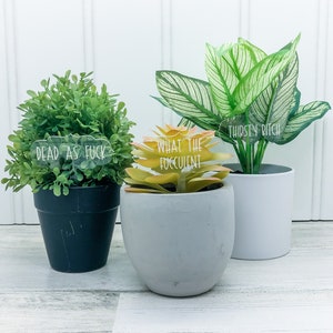 Funny Plant Tags - Inappropriate Plant Names - Indoor Plant Stakes - Swear Word Plant Markers - Acrylic Plant Tags - Plant Lover Gift - Set