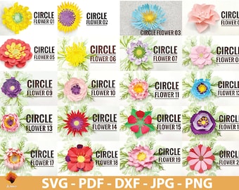 40 flores de papel circulares SVG, plantillas de flores, flores imprimibles en PDF, archivos DXF, JPG y PNG para Cricut Silhouette, archivos de corte de flores SVG