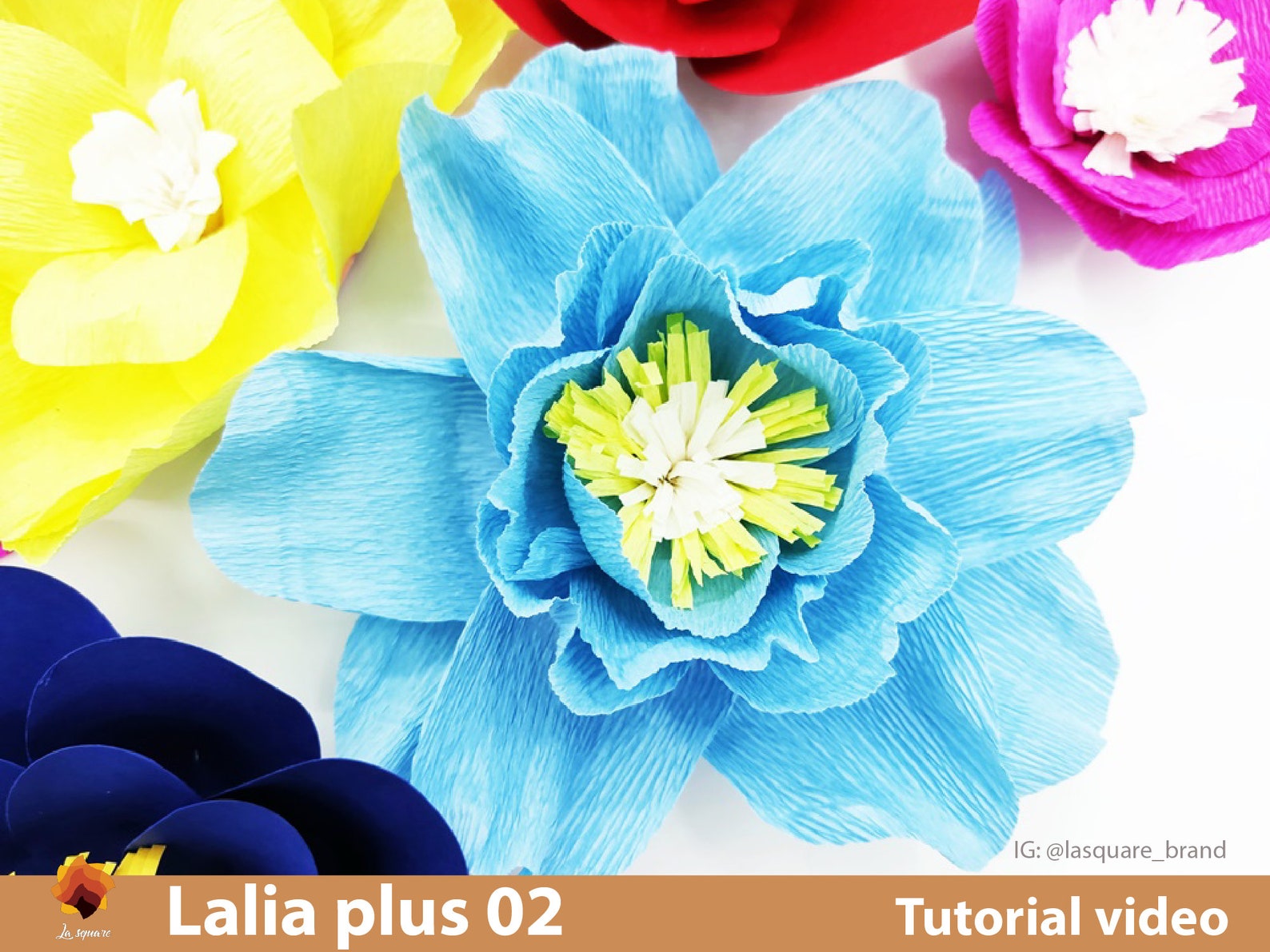 Lalia PL02 Paper flowers template SVG large small paper Etsy