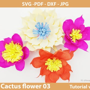 Riesen Papierblumen SVG CTF 03, Papierblumen Vorlage Pdf, Papierblumenmitte, Blattvorlage DXF Png Jpg für Cricut Silhouette