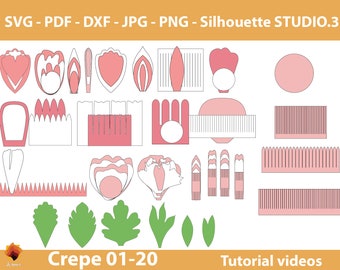 20 modelli di fiori di carta crespa, fiori di carta crespa SVG, margherite di carta crespa, peonie di carta crespa, file di taglio di fiori di carta crespa PDF DXF Jpg Png per cricut silhouette