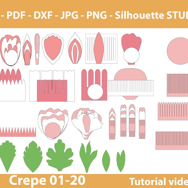 20 modèles de fleurs en papier crêpe, fleur en crêpe SVG, marguerite crêpe, pivoine crêpe, fleurs en crêpe coupe fichiers PDF DXF Jpg Png pour silhouette cricut