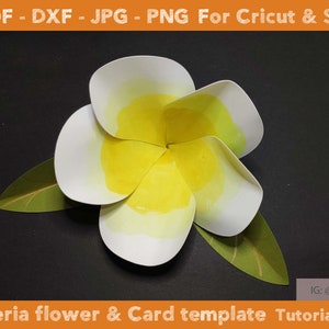 2in1 Plumeria Flower &amp; Greeting Cards Templates, SVG DXF Jpj Png Pdf Summer Flower Plumeria ...