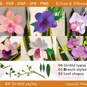 04 Modelli di fiori di carta per orchidee SVG PDF DXF Jpg Png, Modello fai da te per fiori di carta - Modelli di fiori stampabili, Orchidee Phalaenopsis a forma di barca