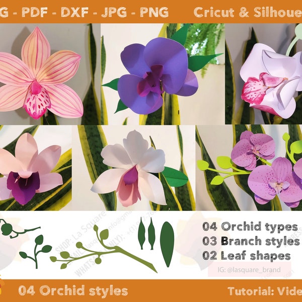 04 Orchids Paper Flowers templates SVG PDF DXF Jpg Png, Diy paper flowers template - Printable flower Templates, Phalaenopsis Boat Orchids