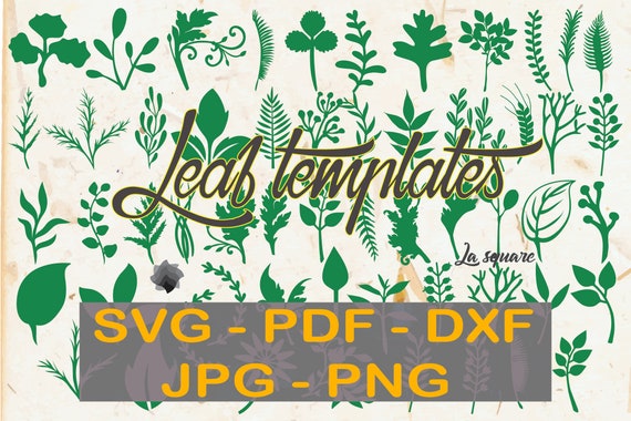 Download Free 60 Paper Leaf Vine Templates Tropical Paper Flowers Etsy SVG Cut Files