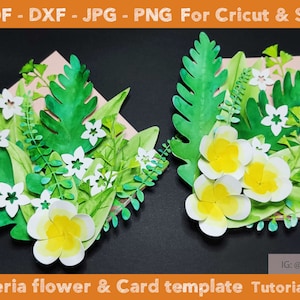 2in1 Plumeria flower & greeting cards templates, SVG DXF Jpj Png Pdf Summer flower Plumeria cards cut file, flower template printable