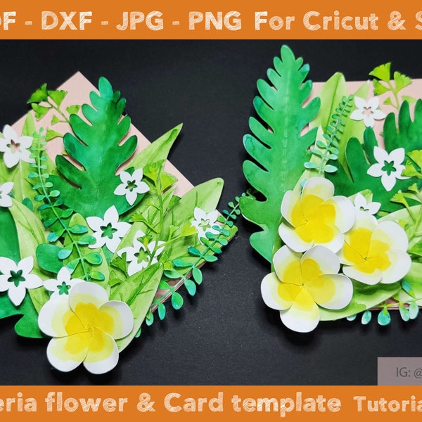 Plumeria Template - Etsy