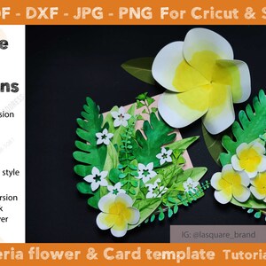 2in1 Plumeria Flower &amp; Greeting Cards Templates, SVG DXF Jpj Png Pdf Summer Flower Plumeria ...