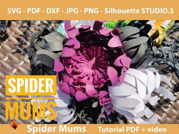 Download Spider Mums Paper Flower Template Spider Mums Flower Svg Etsy
