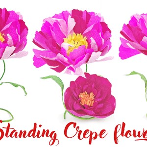 20 Crepe paper flower templates, crepe flower SVG, crepe daisy, crepe peony, crepe flower cut files PDF DXF Jpg Png for cricut silhouette