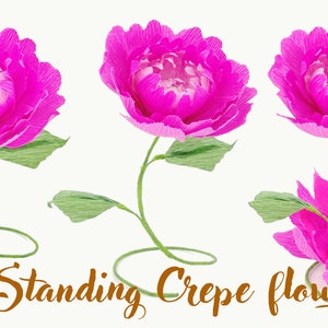 20 Crepe paper flower templates, crepe flower SVG, crepe daisy, crepe peony, crepe flower cut files PDF DXF Jpg Png for cricut silhouette