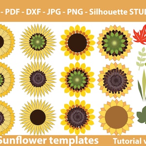 04 SUNFLOWER Paper flowers backdrop template, Sunflower backdrop template svg, single semi double sunflower center leaves templates nursery