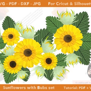 SUNFLOWER with Bud backdrop templates, paper Sunflower template svg df pdf silhouette, sunflower paper flower cut file