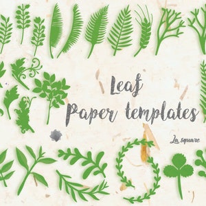 May include: A collection of 25 green leaf paper templates, perfect for crafting and paper cutting. The templates include various leaf shapes, including ferns, branches, and wreaths.