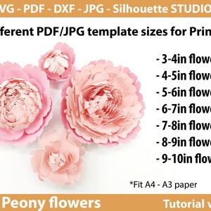 Giant Peony Paper Flowers Template SVG -diy Paper Flowers Template ...