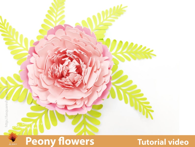 Giant Peony Paper Flowers Template SVG diy Paper Flowers - Etsy UK