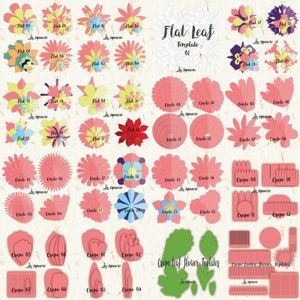 Oltre 290 design, fiori di carta giganti in formato SVG, modello di fiore di carta in formato SVG, fiori stampabili in formato PDF, fiore 3D in formato SVG, modello di sfondo floreale in formato SVG
