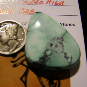 New Lander Turquoise, Natural Webbing, Free Form High Grade Cabochon 32.0cts.