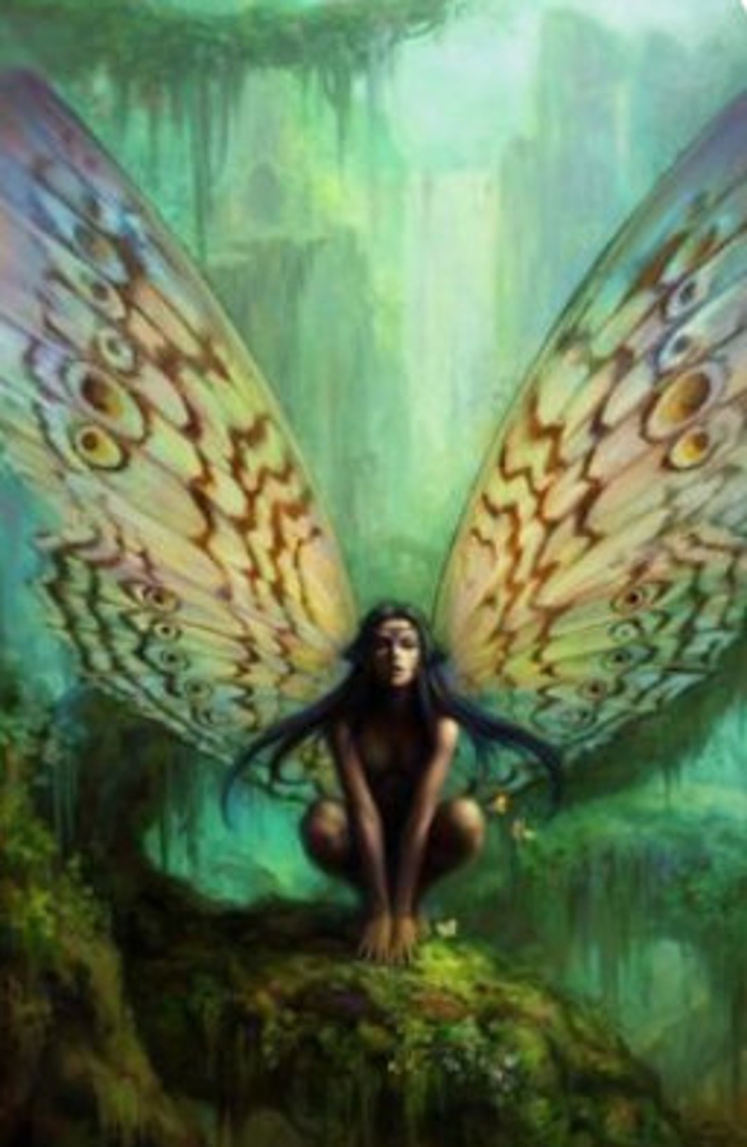 Female Moth Fairy Spiritual Companion Direct Binding - Etsy
