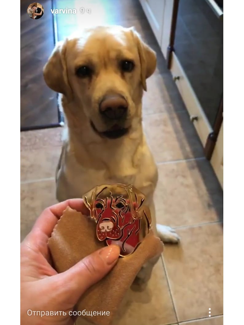 Labrador Brooch Acrylic coffee brown brooch Dog Brooch Retriever Acrylic Jewelry Animal Brooch Pet Brooch Labrador lover Dog Pin
