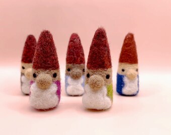 Garden felted gnome, fairy garden, gnome miniature, multicultural