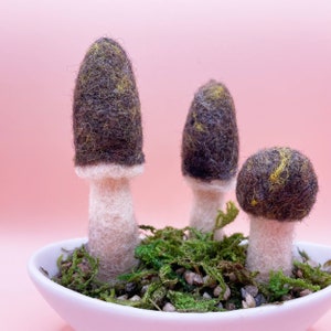 Morrel Mushroom art Psychedelic Brown wool decor needle felted