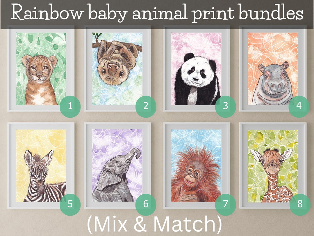 Rainbow Baby Animal Print Sets mix and Match Bundle Deals Etsy