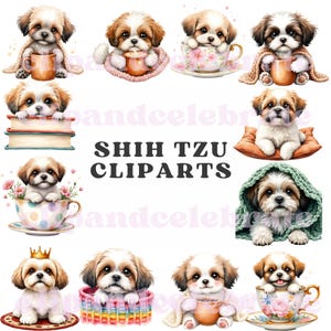 Clipart di Shihtzu in formato PNG, Cani carini in una tazza da tè che bevono caffè, Sfondo trasparente, Clipart di cani, Arte a sublimazione per amanti dei cani a 300 DPI, PNG di cani