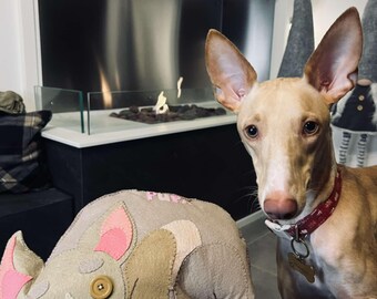 Customise your pet as a Pet Cushion designed by Kathleen Flask