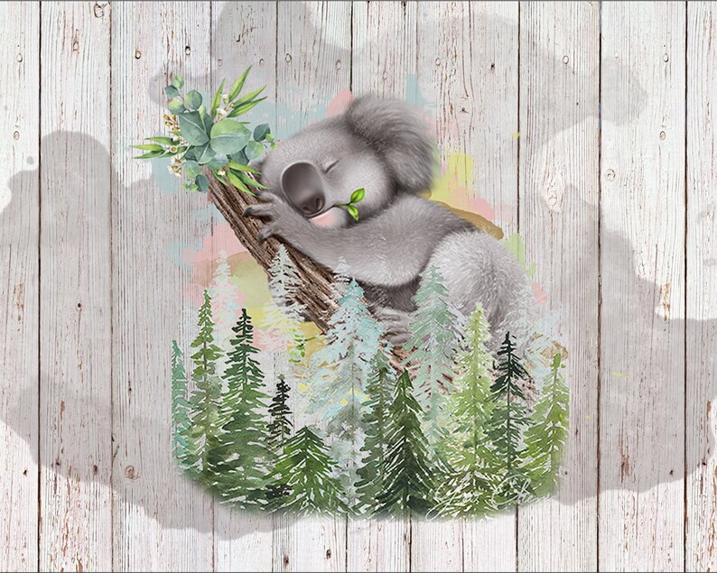 Download Koala Clipart Sublimation design SVG PNG Baby Koala Cute ...