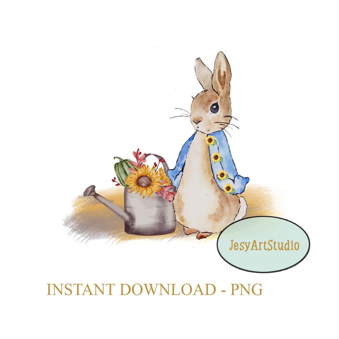 peter-rabbit-pumpkin-sunflowers-png-sublimation-design-etsy